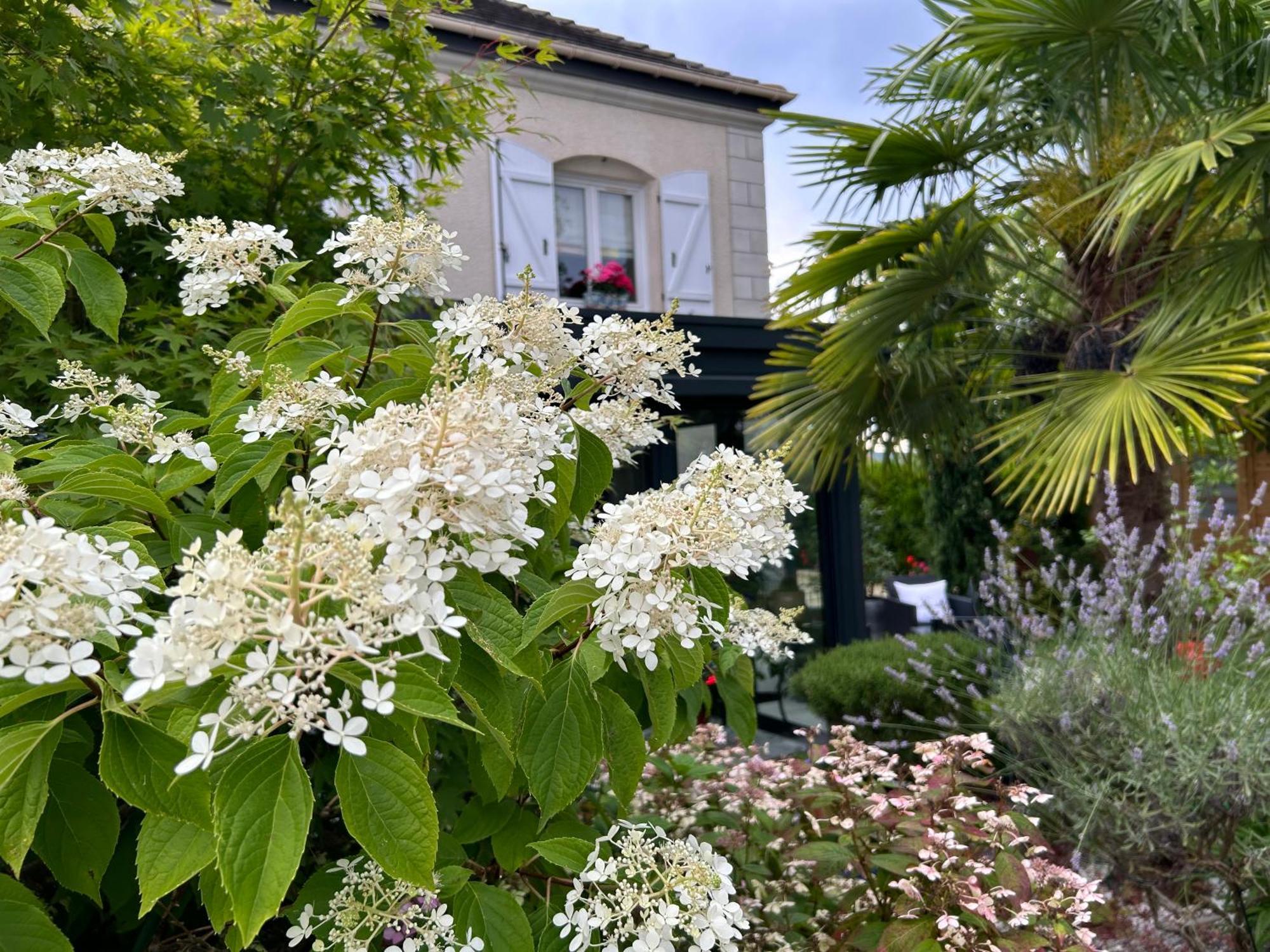 Les Suites Champenoises Tinqueux Exterior foto